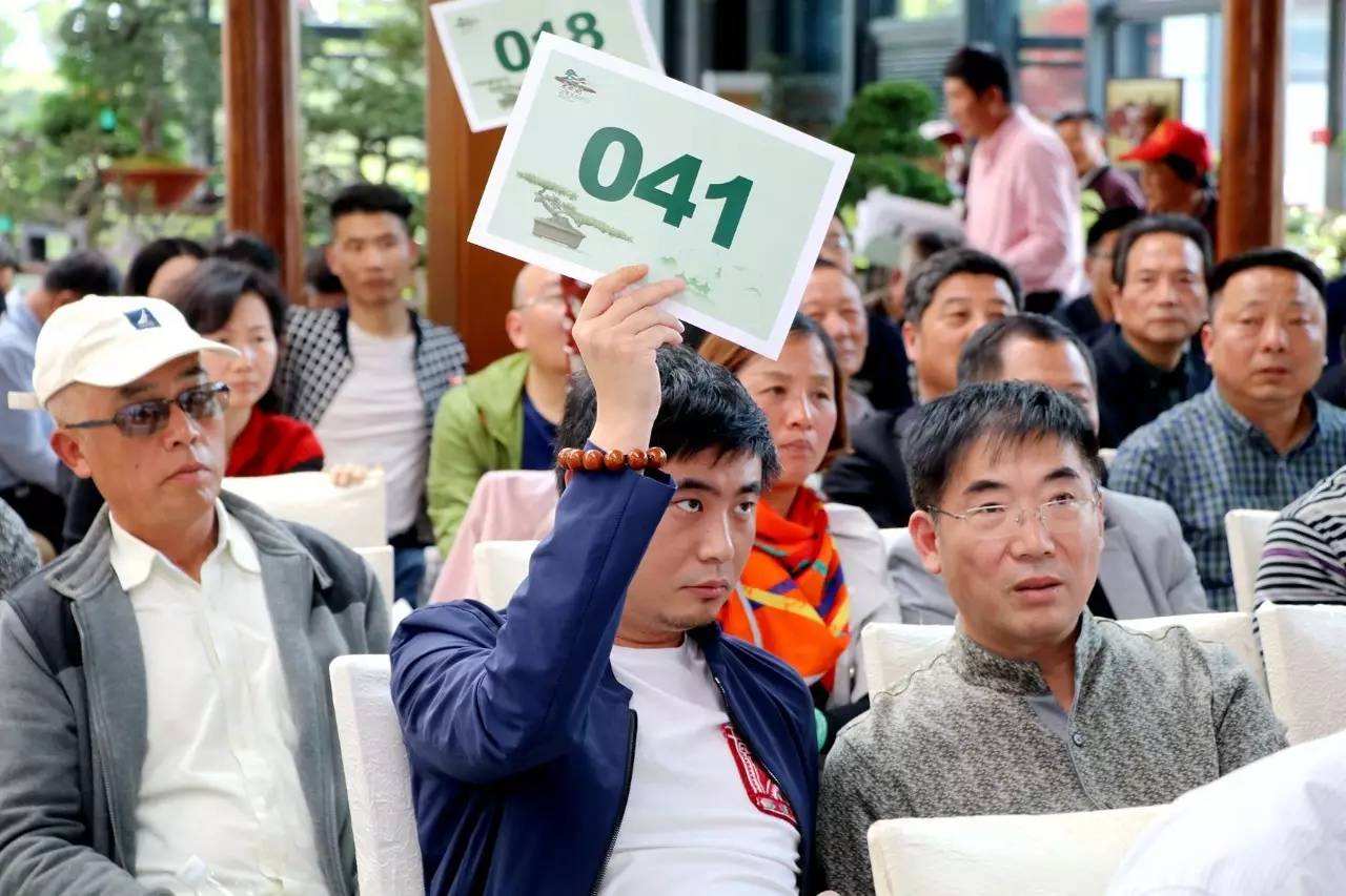 西湖春季大型盆景/賞石精品拍賣會